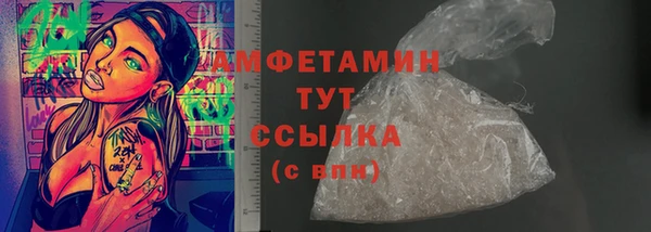 винт Ельня