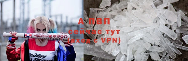 сатива Елизово