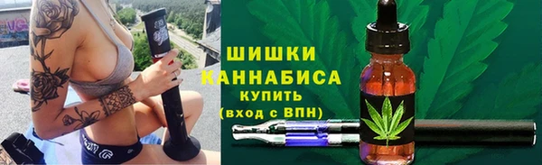 сатива Елизово
