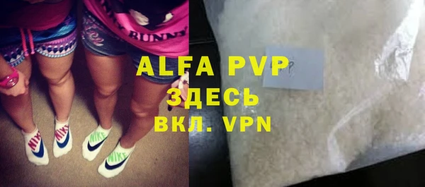 винт Ельня
