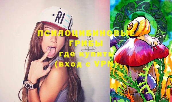 винт Ельня