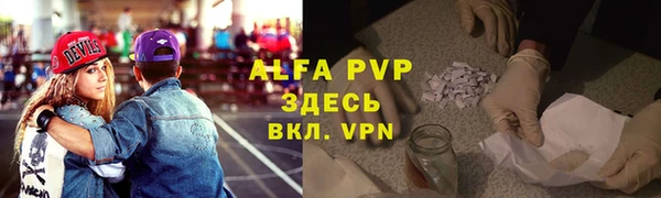сатива Елизово