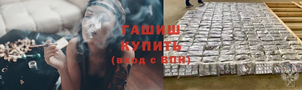 сатива Елизово