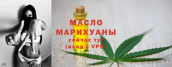 винт Ельня