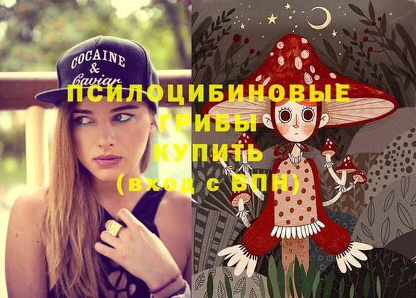 синтетический гашиш Елабуга