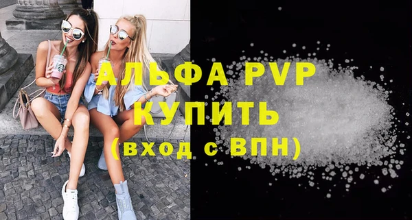 винт Ельня