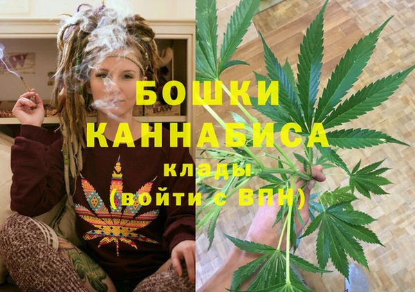 сатива Елизово