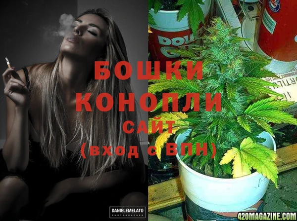 сатива Елизово