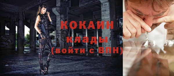 винт Ельня