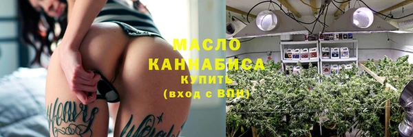 винт Ельня