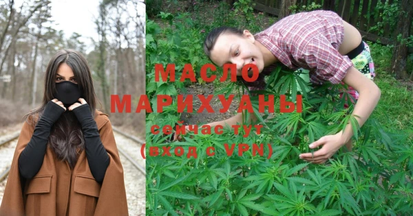 винт Ельня
