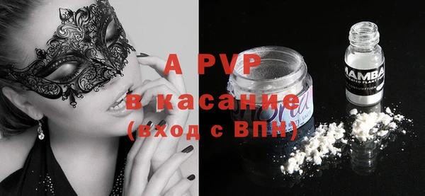 винт Ельня