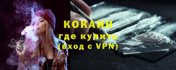 винт Ельня
